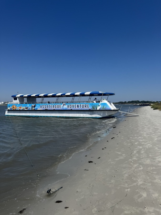 Tour boat pulled up to a sandy beach