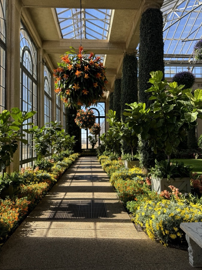 Sunlit conservatory walkway lined with flowers and hanging baskets