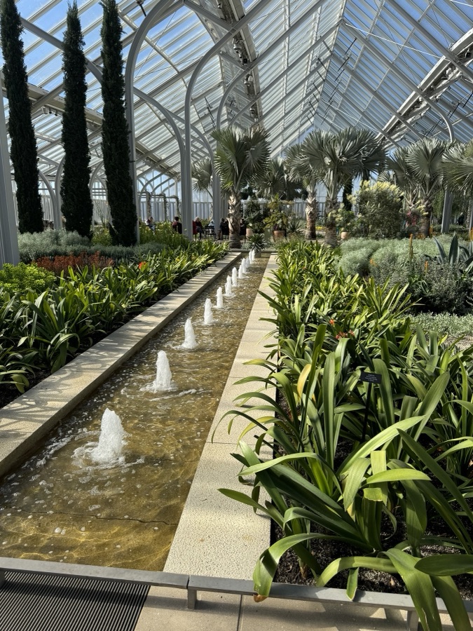 Conservatory fountain channel surrounded by tropical plants